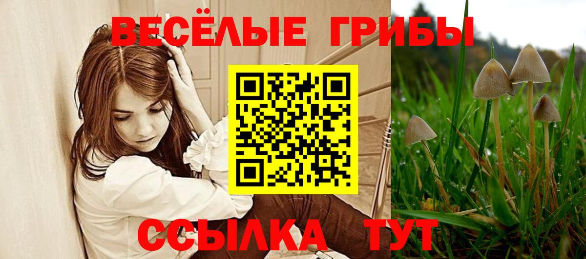 Галлюциногенные грибы мухоморы  Вход с VPN  Среднеуральск 